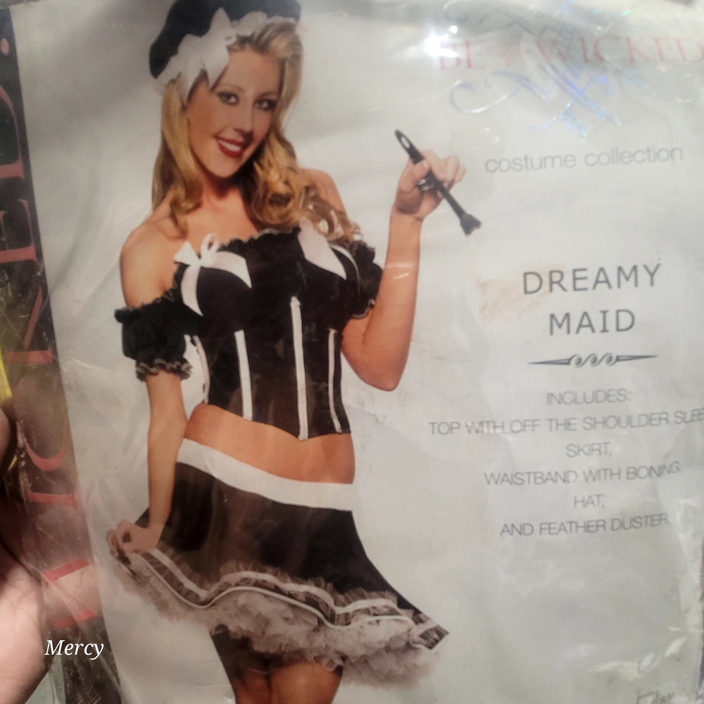 LAST ONE ‼️ Dreamy Maid Costume From Be Wicked 4 Piece Set